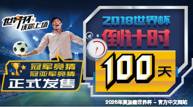 核心团队与专业资质
