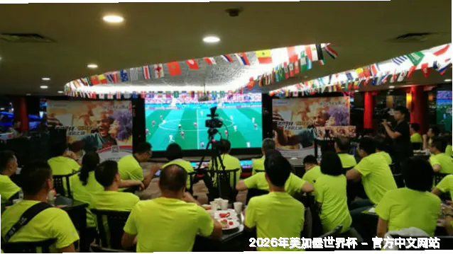 未来愿景与发展方向